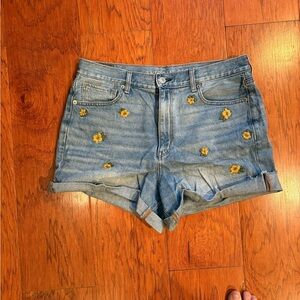 American Eagle Embroidered Jean Shorts